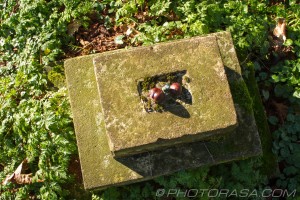 grave pedestal with conkers