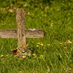 wooden cross grave marker