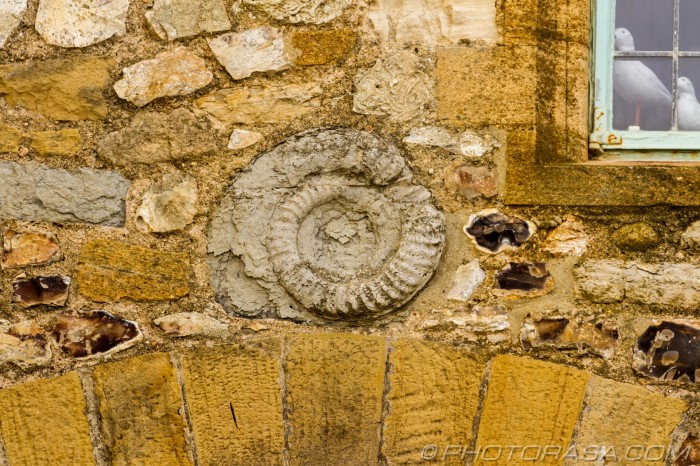 spiral fossil in brickwork
