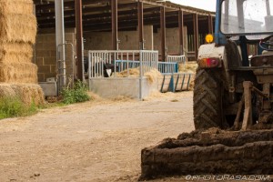 muddy tractor on farm