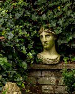 roman statue head in vines