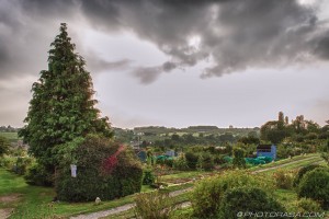 dark clouds over the allotment