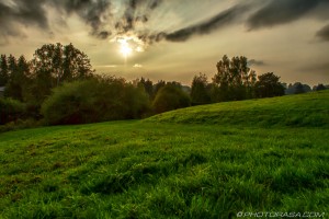 late afternoon sun over a green pasture