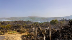 bush fires in sicily