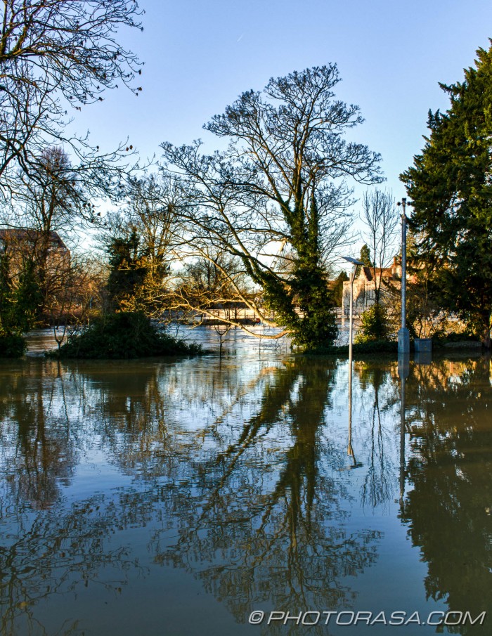 flooded ground and tree reflection