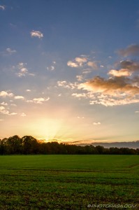 green fields, light sky and clouds at sunset