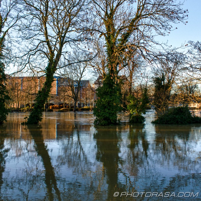 lockmeadow through trees and flooded medway