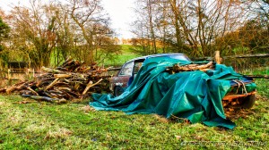 abandoned car in field