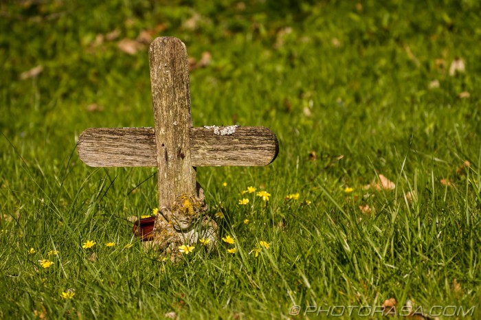 wooden cross grave marker