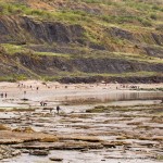 people looking for fossils at the jurassic cliffs of dorset