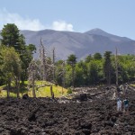 aftermath of 2002 lava flow
